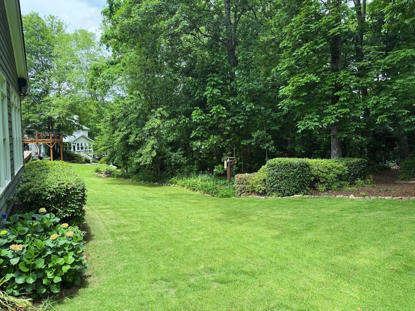A large lawn with trees in the background and a house in the background.