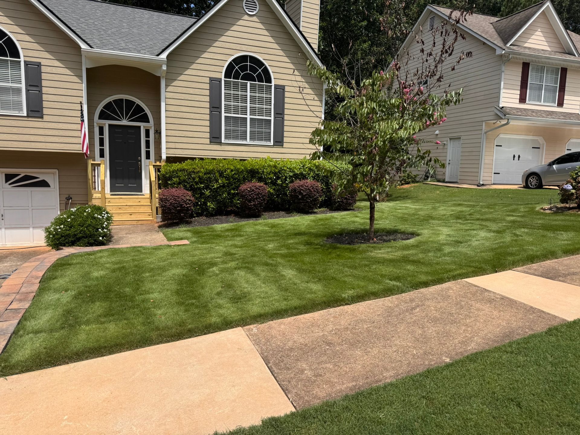 Suburban house with manicured lawn, front walkway, and a small tree by the entrance