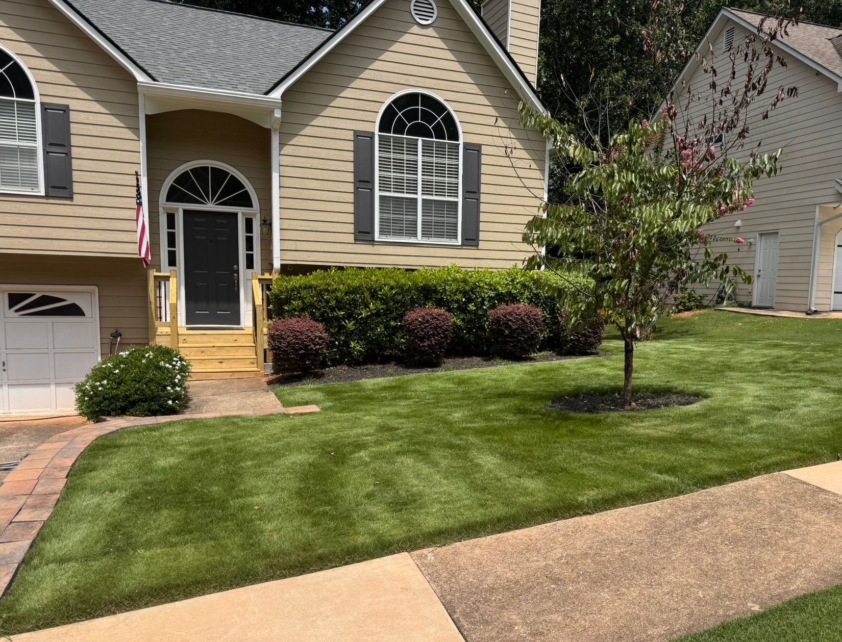 A row of bushes along a sidewalk in a park.