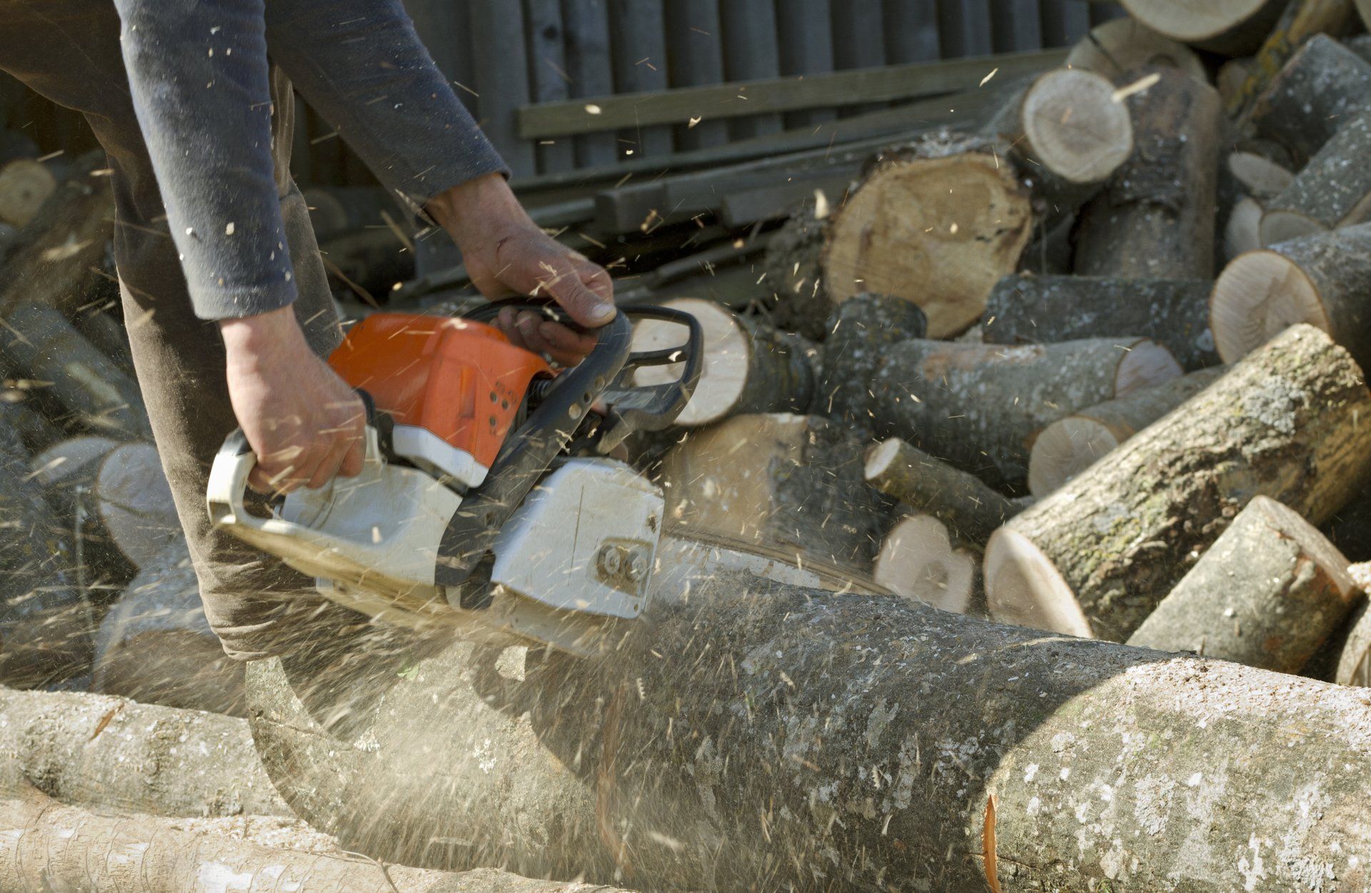 man cutting a newly chopped down tree in chandler