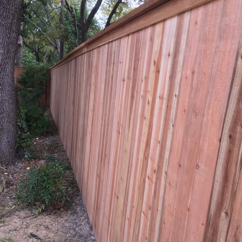 Wooden fence in a yard with trees and bushes.