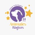 animales-magicos