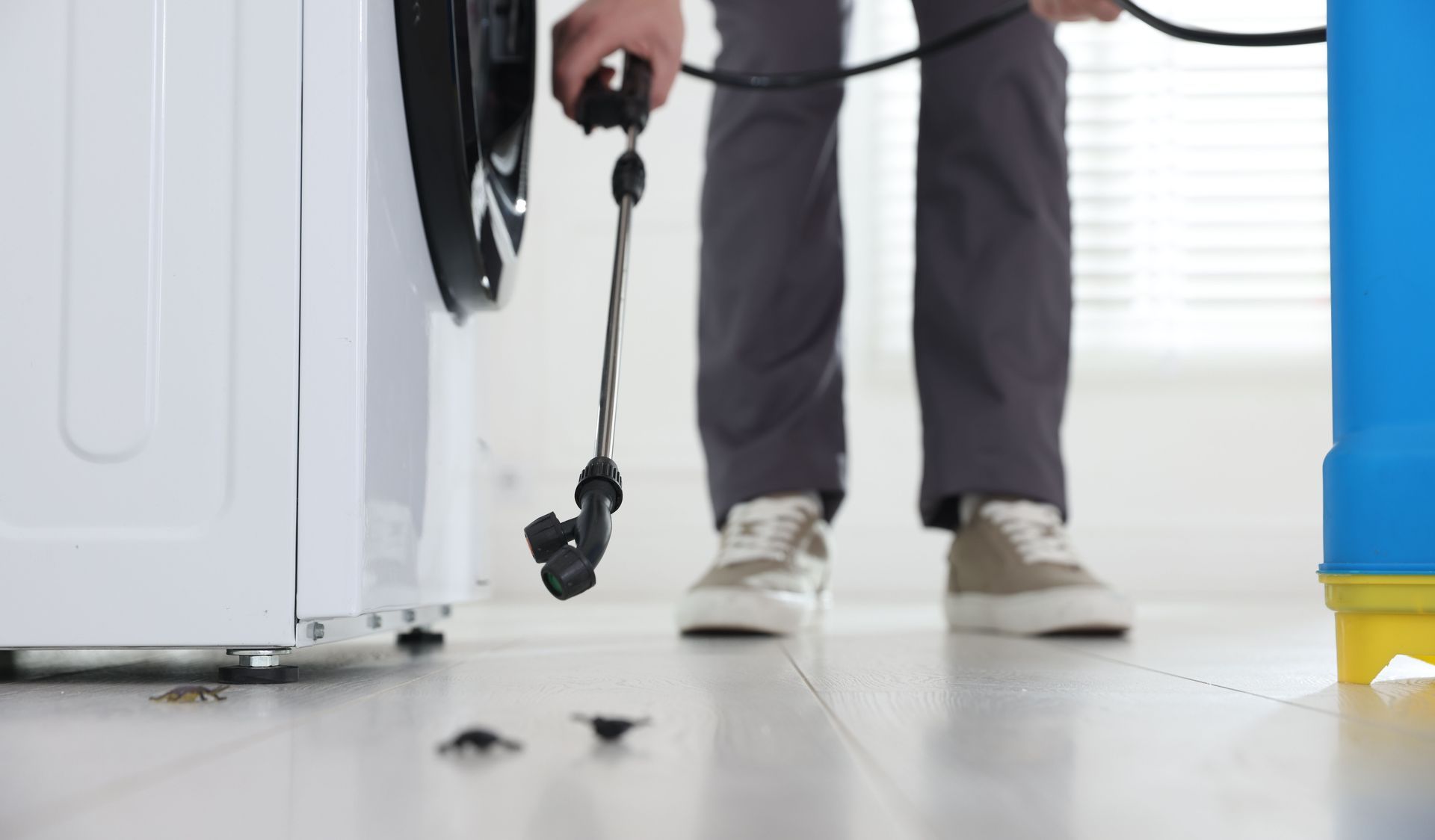 Pest control technician sprays treatment on floor near insects beside a household appliance. Pest control technician sprays treatment on floor near insects beside a household appliance.