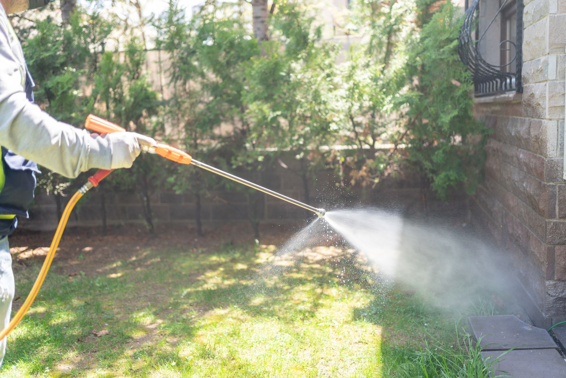 Additional Pest Control Services Wilmington NC