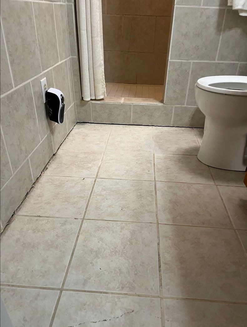 Tiled bathroom with a toilet, shower curtain, and step-up shower entrance.