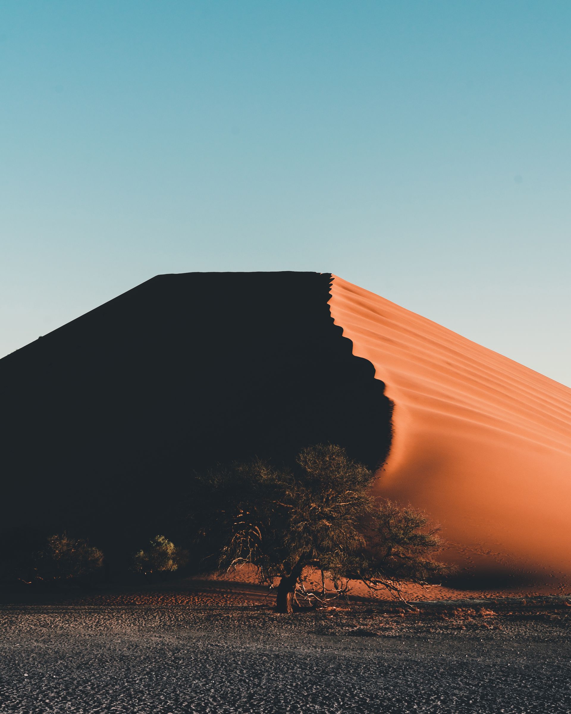 Sunlit sand dune with a dark shadowed slope and sparse shrubs under a clear sky