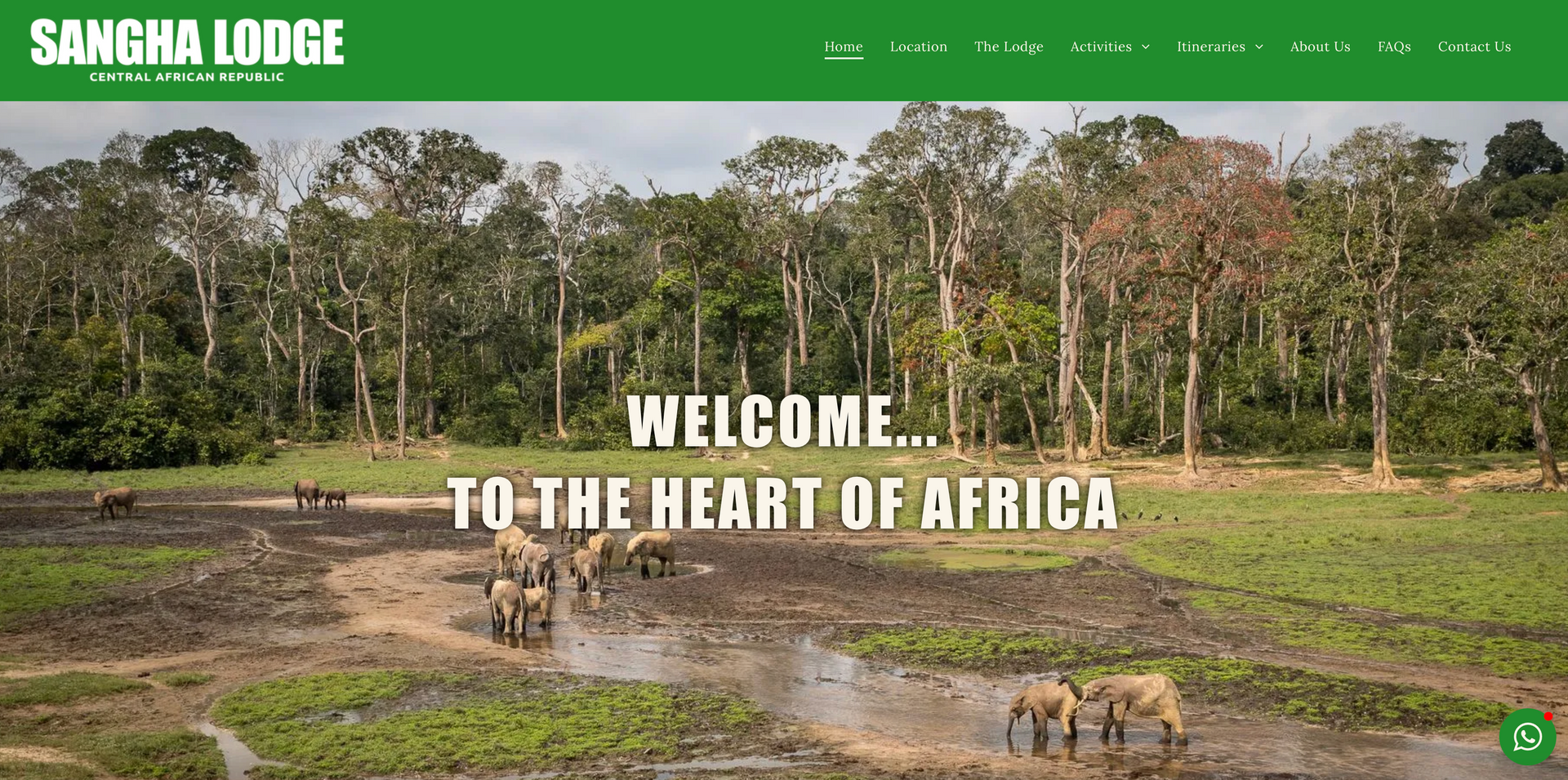 Sangha Lodge website banner with forest and river, featuring the text “Welcome to the heart of Africa”