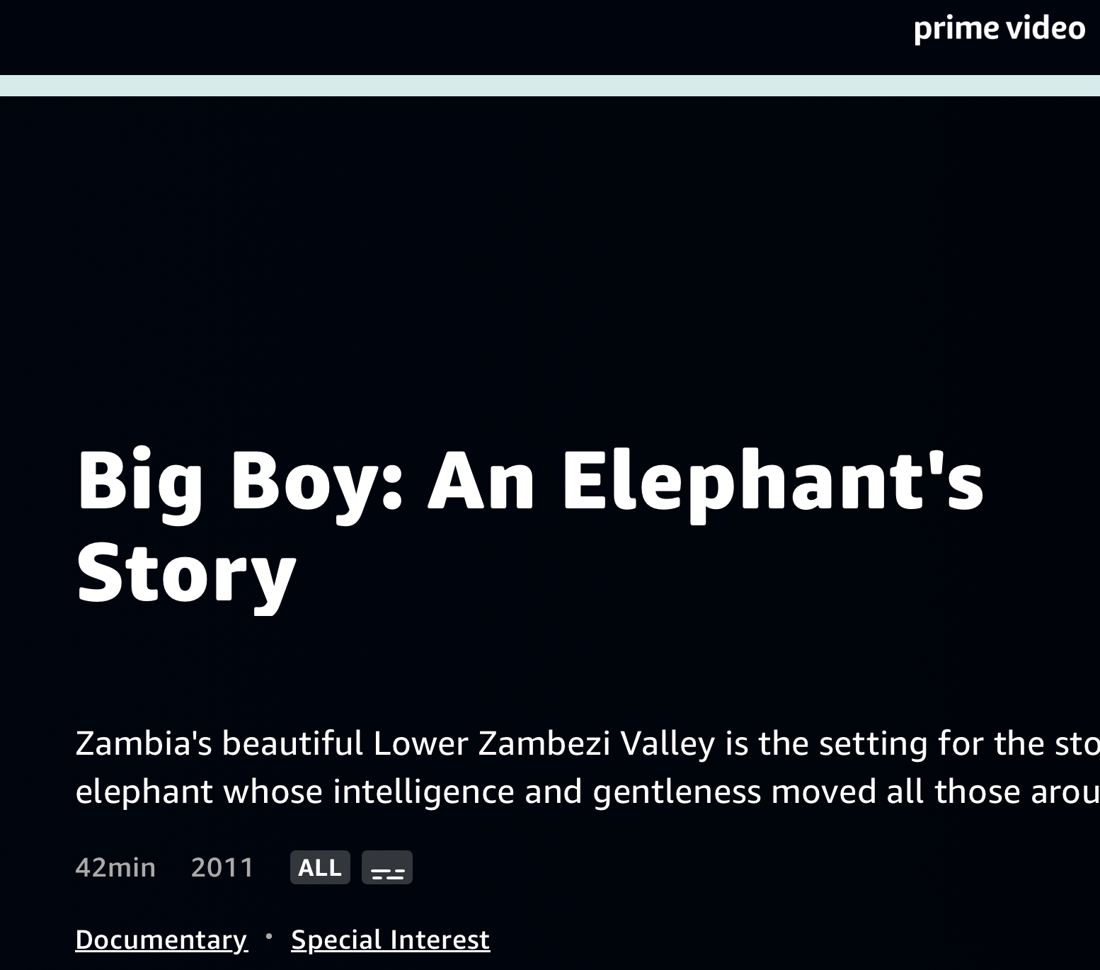 Prime Video title card for “Big Boy: An Elephant’s Story” with a black background and white text.