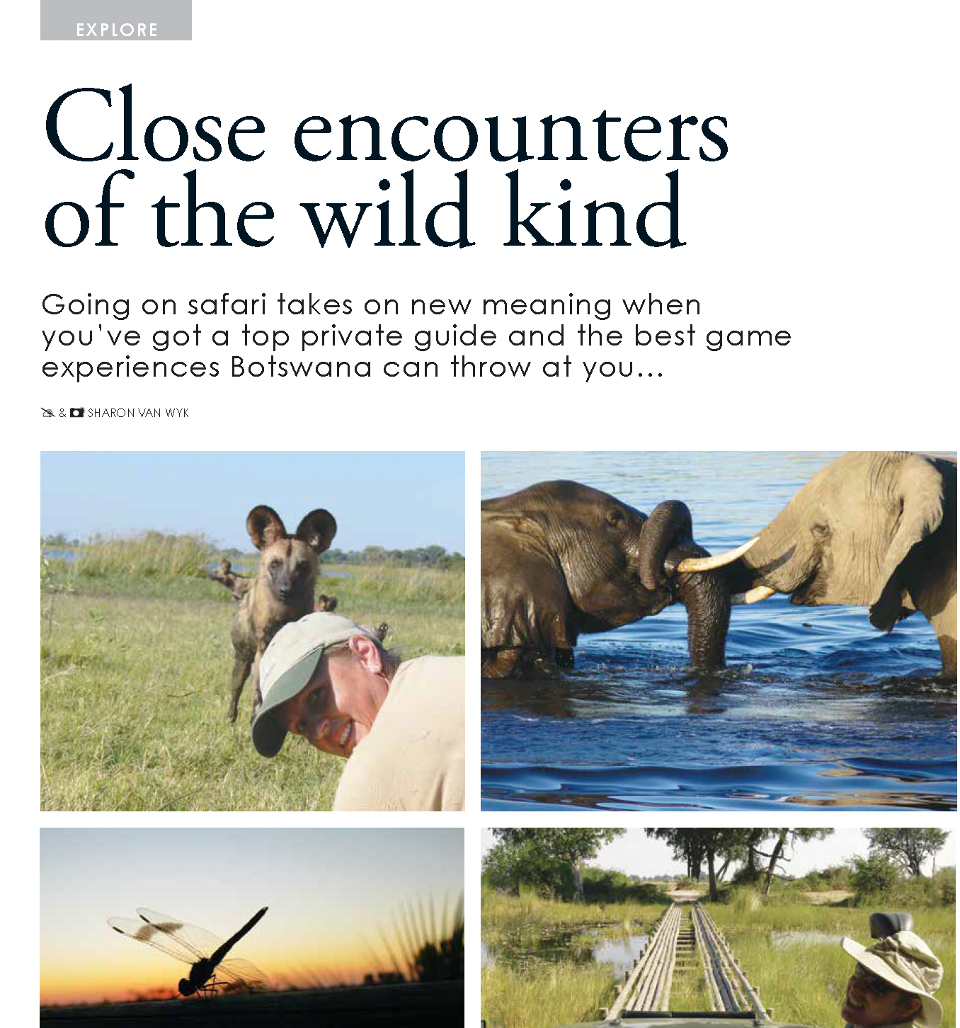 Magazine cover about Botswana wildlife: elephant, giraffe, giraffe-safari scene, and sunset over landscape