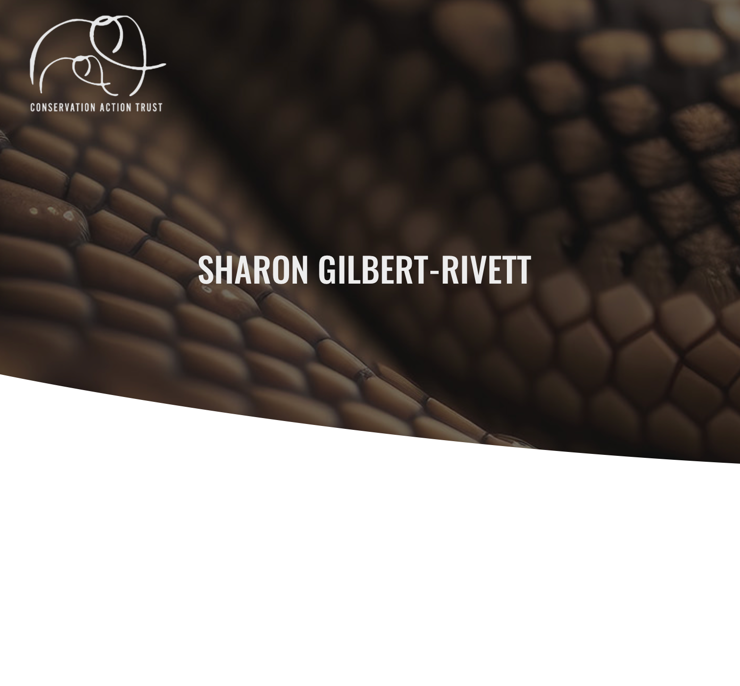 Book cover with dark textured background and the title “SHARON GILBERT-RIVETTI” in white text