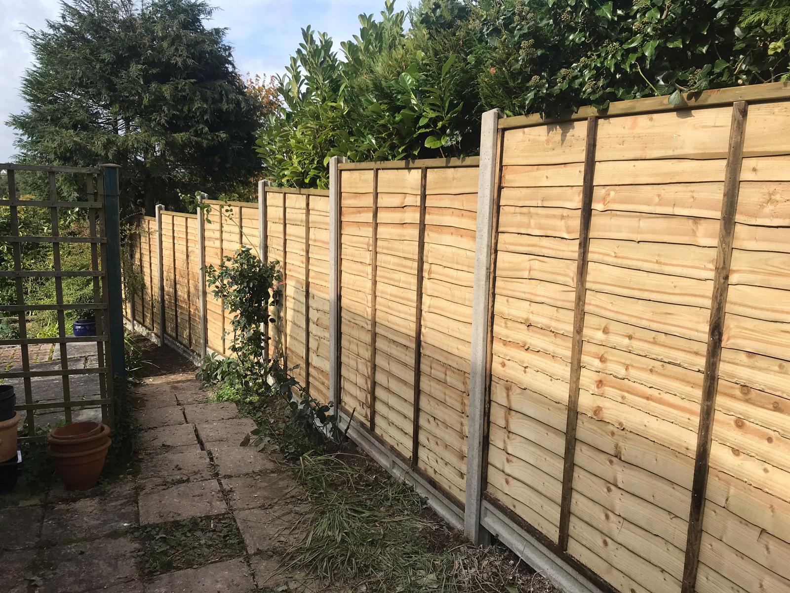 Feather edge fencing