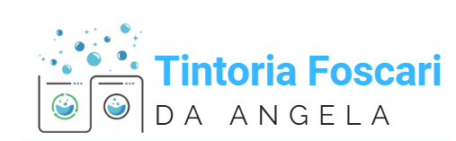 Logo per Tintoria Foscari, raffigurante due lavatrici, bolle e il testo blu 