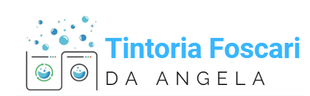 Logo per Tintoria Foscari, raffigurante due lavatrici, bolle e il testo blu 