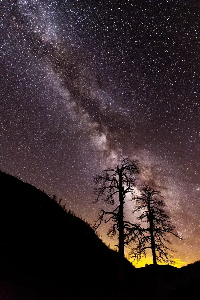 Starry Milky Way above silhouetted trees and mountains at dusk, with golden glow on the horizon
