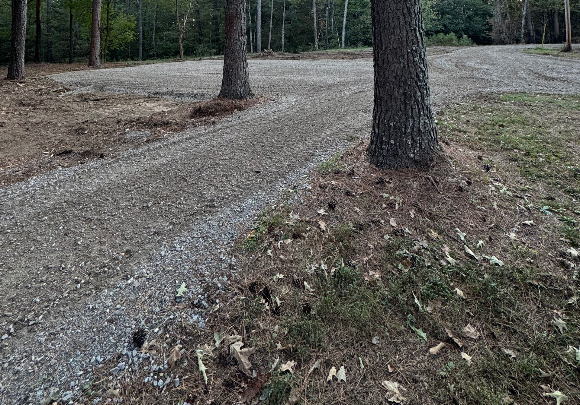 Gravel driveway through trees to home in Murray, KY