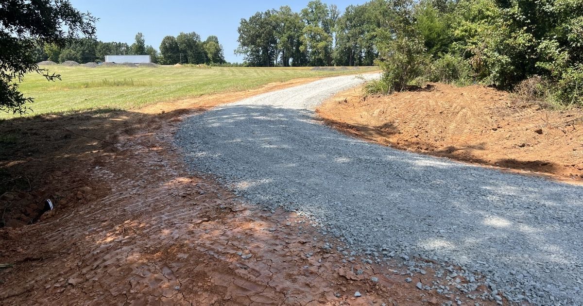 Gravel path curving through a grassy field with trees and dirt edges under a bright sky