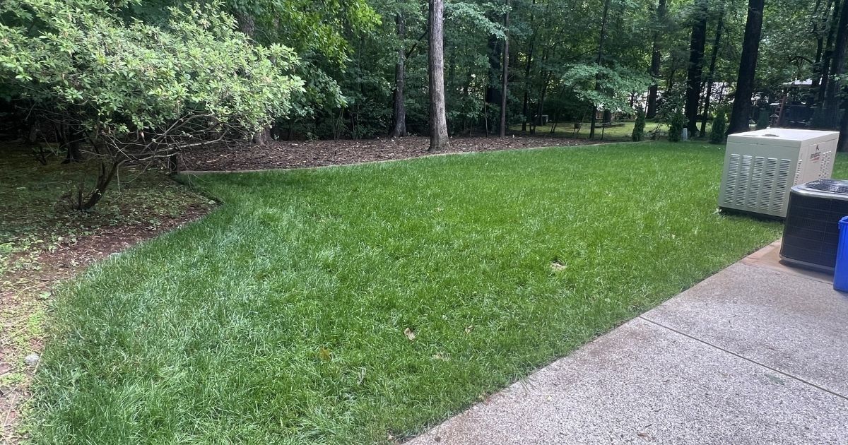 Sod installation around backyard pool area for Clover SC landscaping project