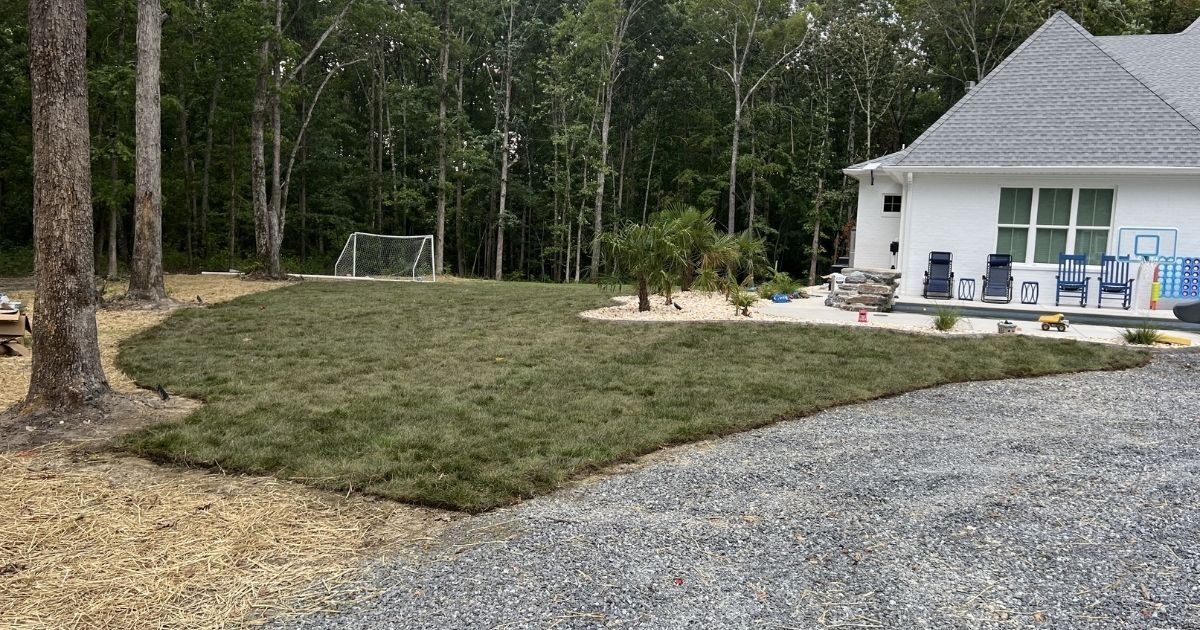 Sod installation around backyard pool area for Clover SC landscaping project