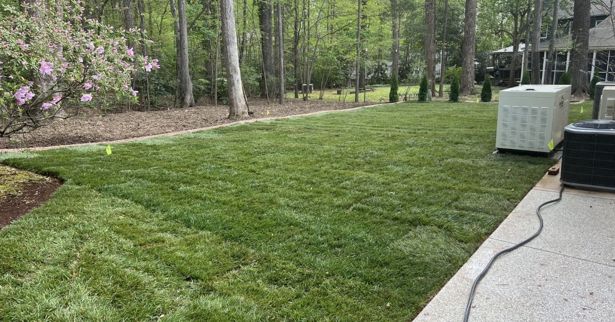Finished Lake Wylie SC yard revamp with new lawn and landscaping by Trifecta Site Solutions