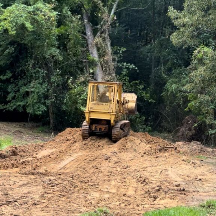 Yellow excavator on a muddy clearing beside dense forest