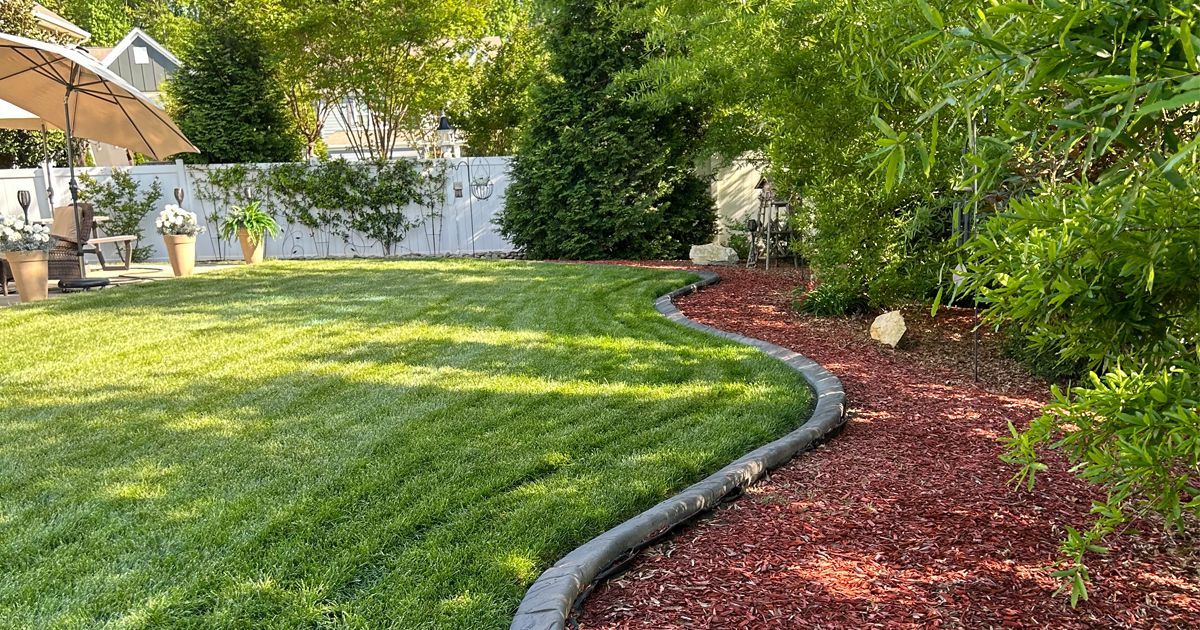 Curved green lawn bordered by red mulch and shrubs in a sunny backyard garden