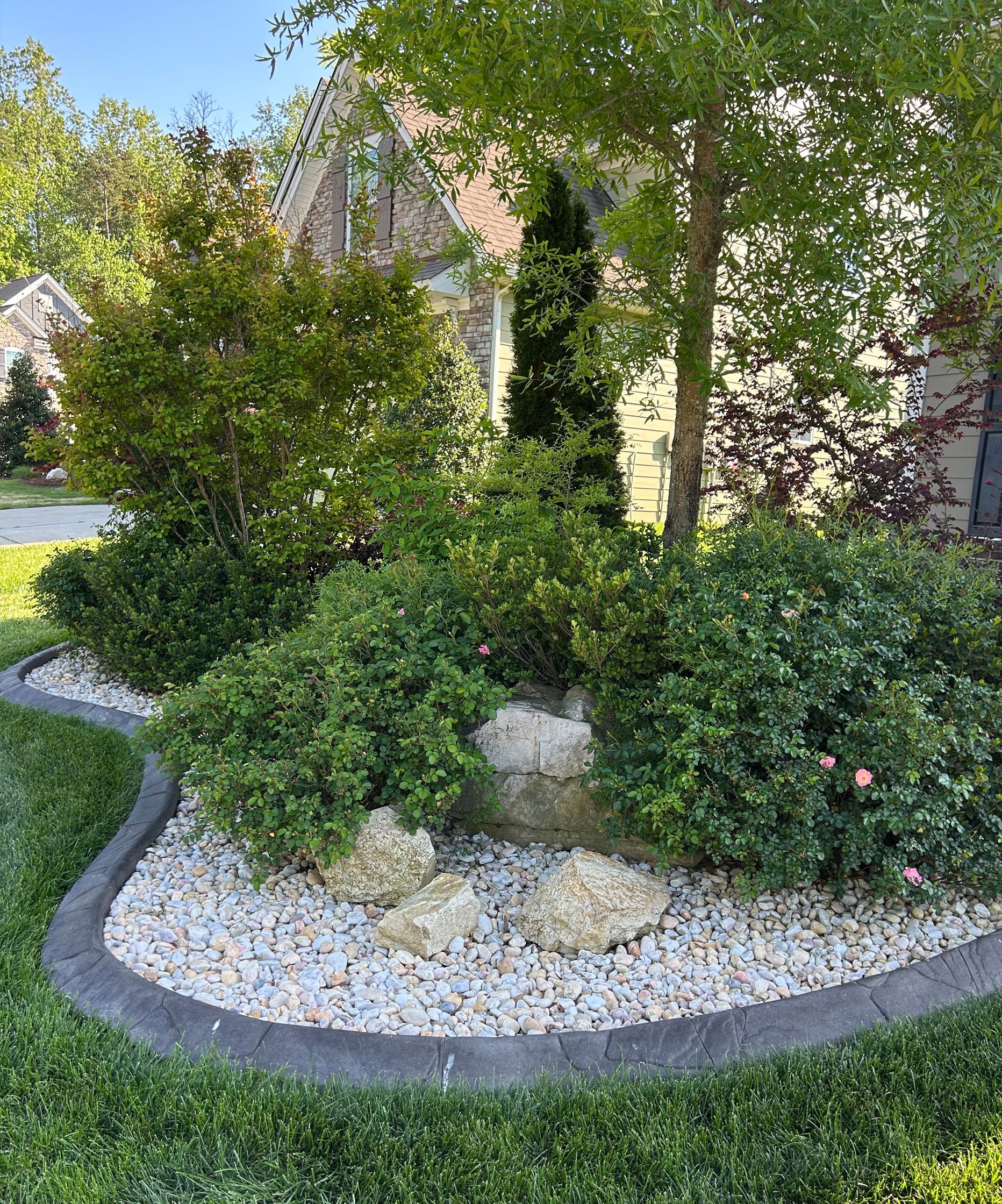 Curved front yard landscaping with shrubs, small trees, and white rock borders along a driveway