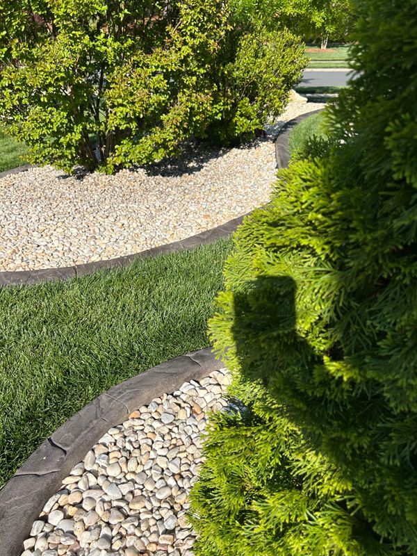Landscaped garden path with gravel border, green lawn, and dense shrubs in sunlight
