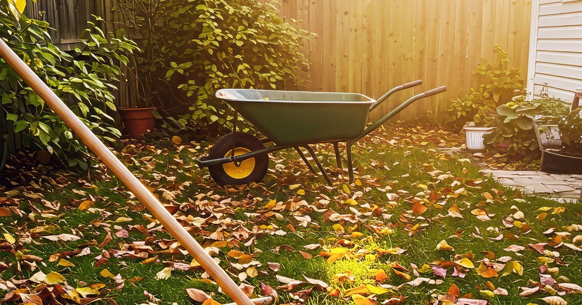 A person raking leaves and a wheel barrel