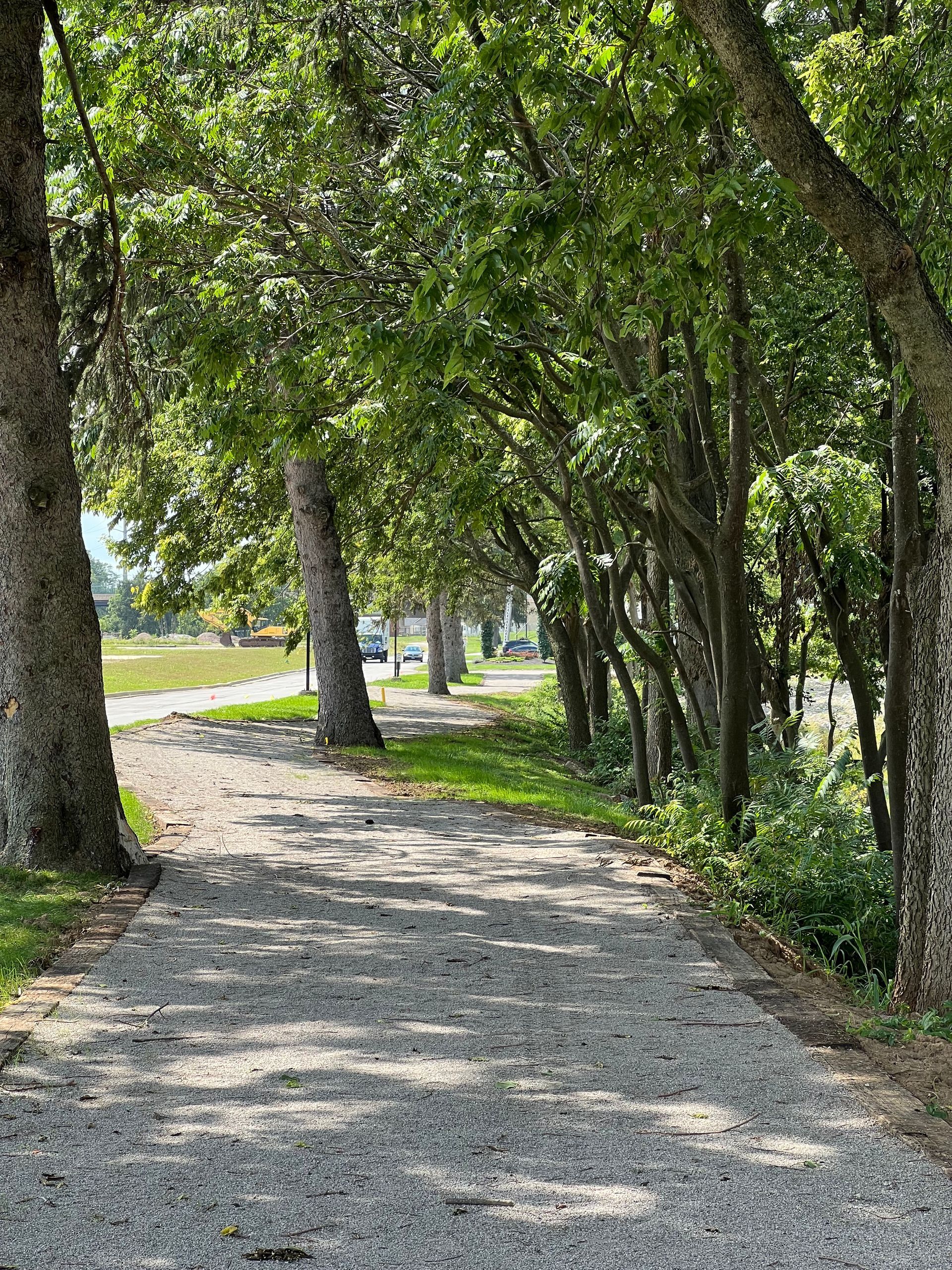 Gravel path lined with trees, casting shadows, on a sunny day.
