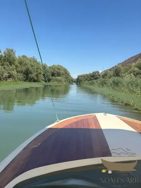fast Sport boat