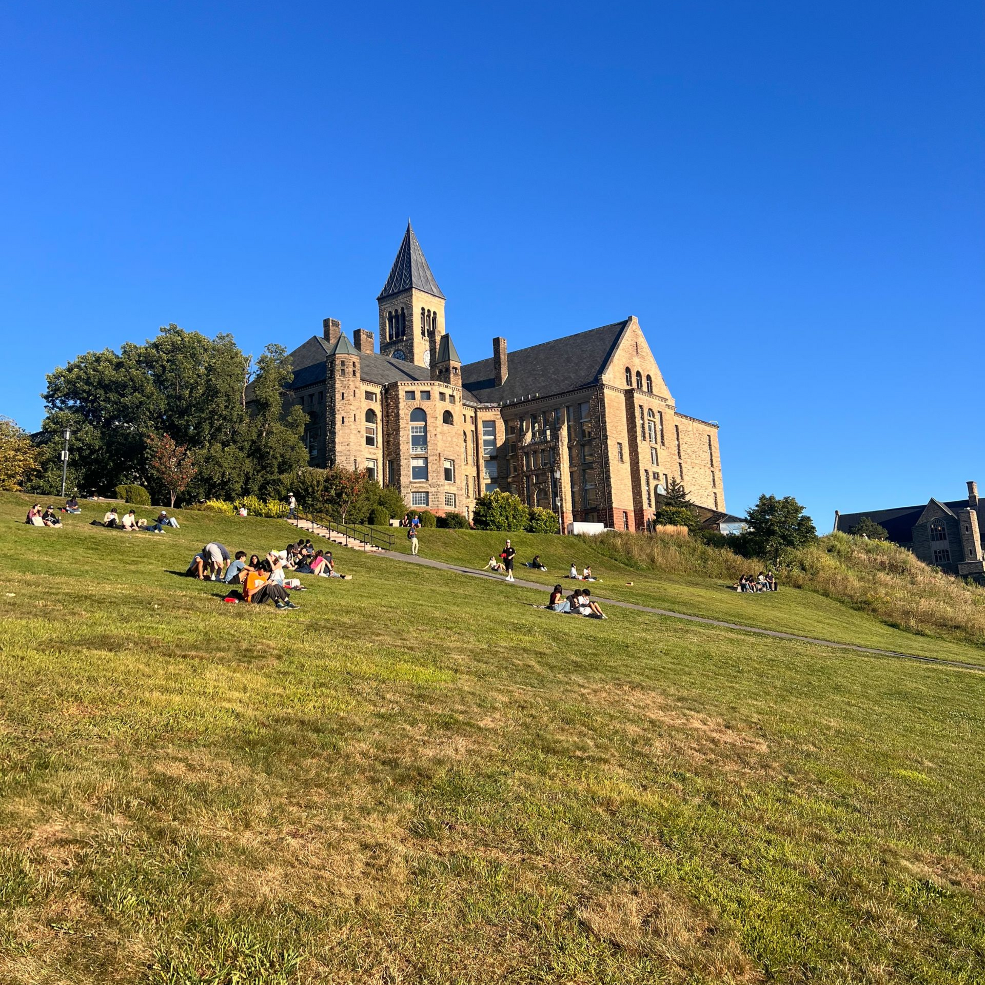 Historic stone building with tower, ornate facade, and landscaped front garden under a blue sky