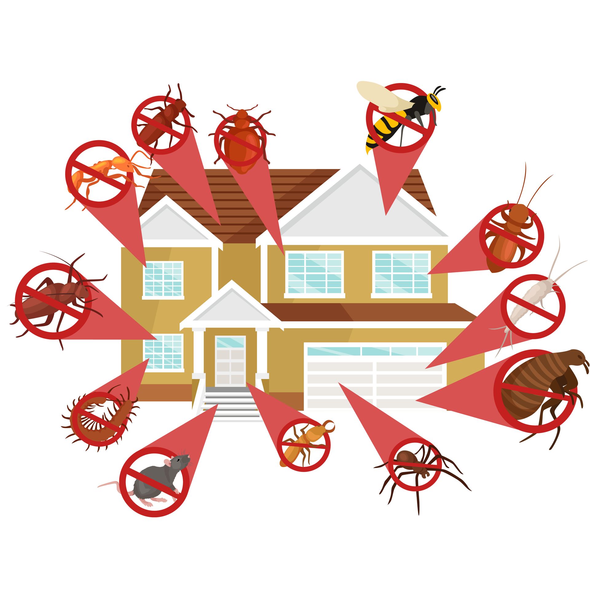 Pest control worker spraying insecticide near dead cockroaches on a wooden floor.