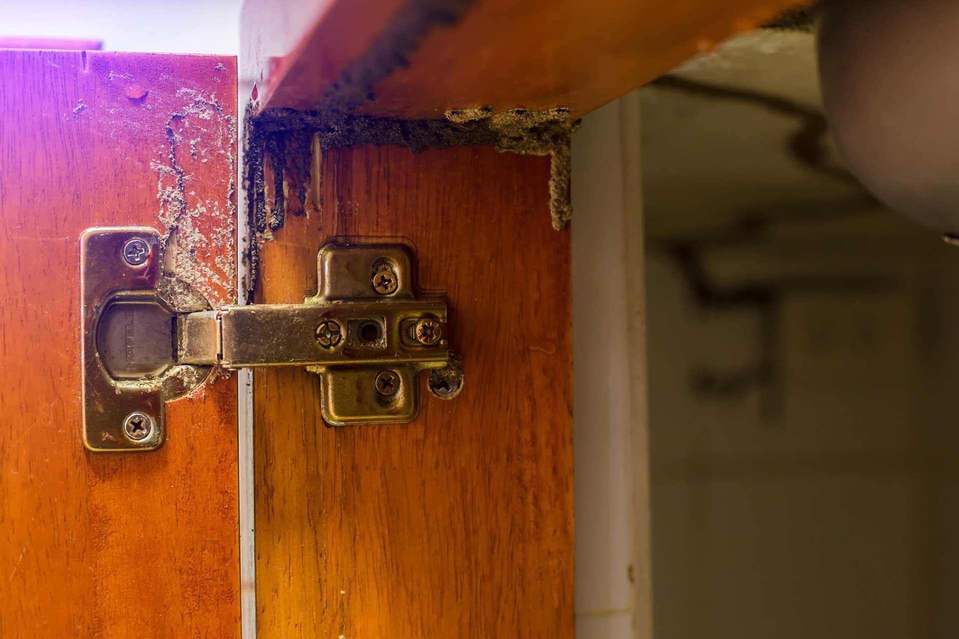 Wood cabinet door with hinge, heavily damaged, likely by termites.