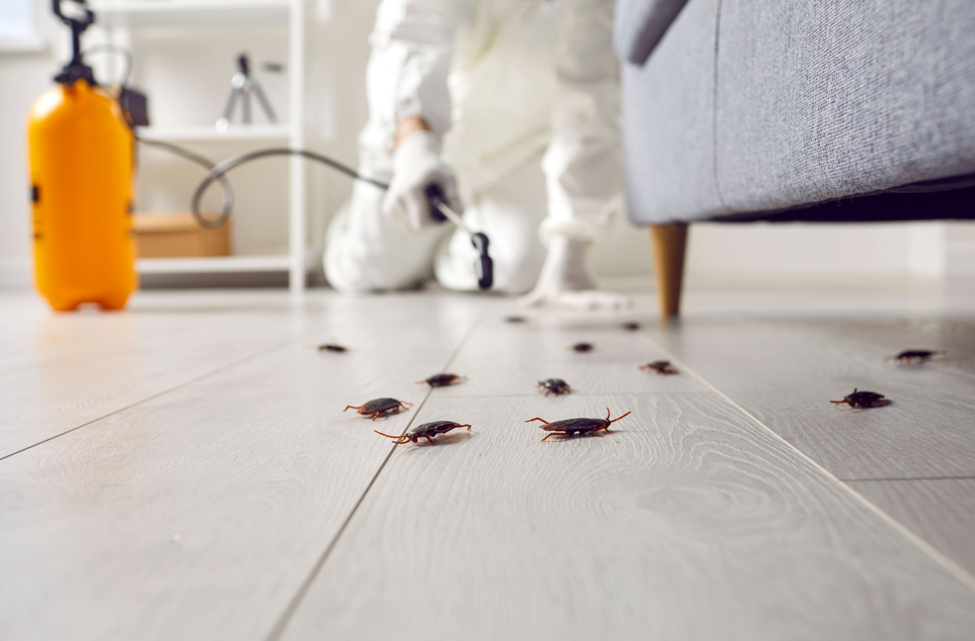 Person in protective suit spraying floor with many cockroaches.
