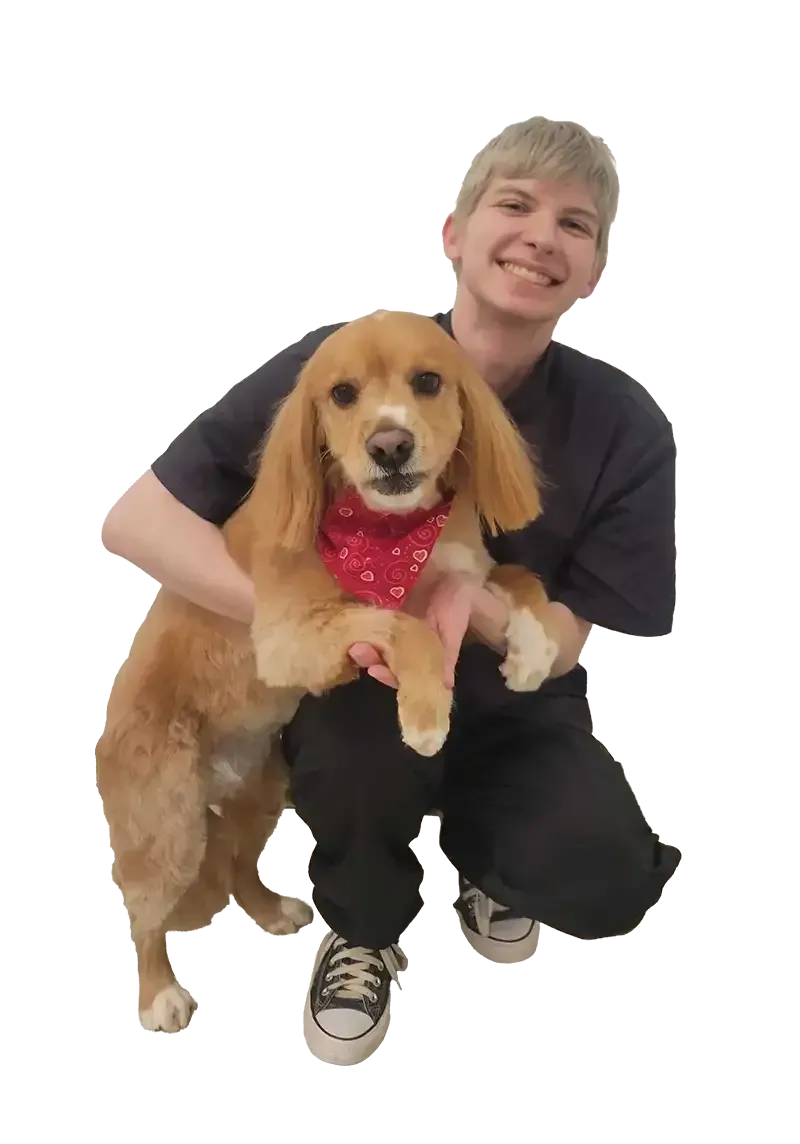 A black and white dog looking to the right on a transparent background