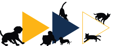 Silhouettes of cats and kittens climbing over yellow and blue triangular shapes on a white background