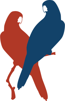 Blue and red macaw icon with minimalist profile shapes for Aimarawa.