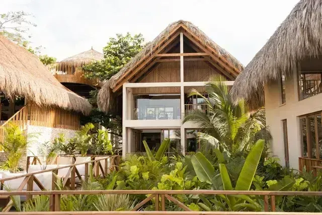 cabaña en San Antero Córdoba rodeada de vegetación para un viaje por colombia