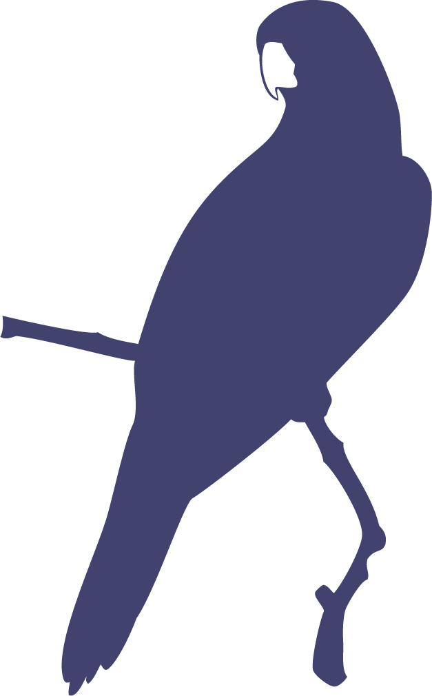 Blue profile macaw icon, a graphic brand identity element for Aimarawa.