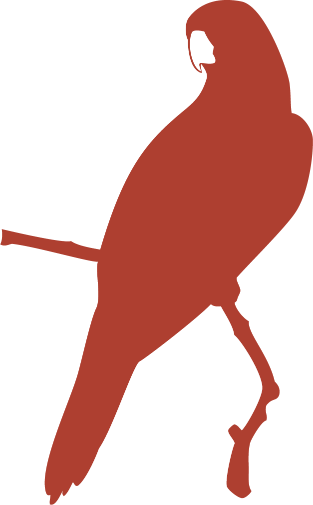 Red profile macaw illustration with minimalist lines for Aimarawa.