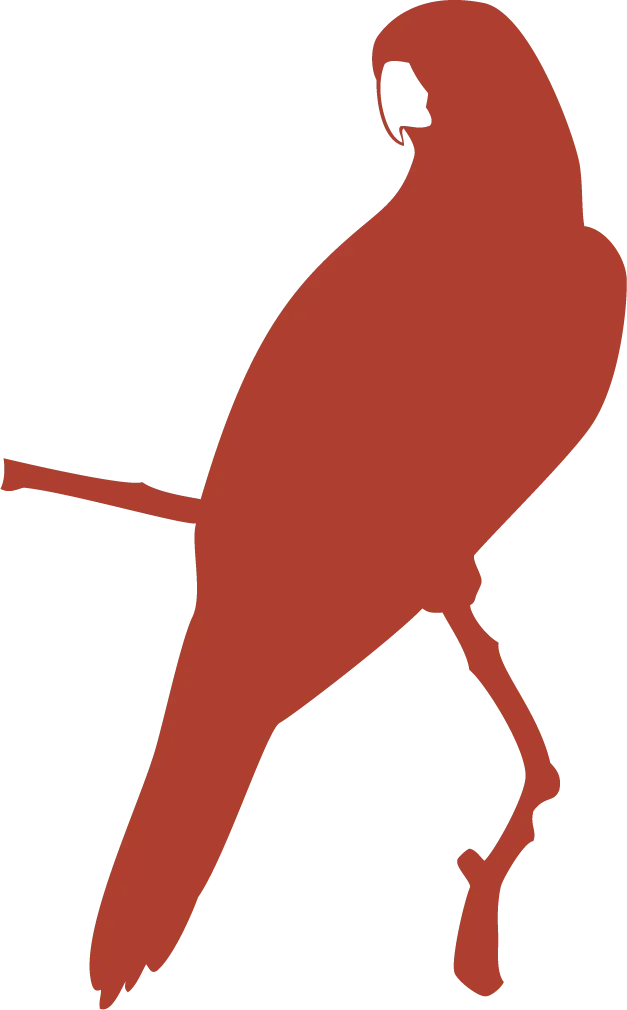 Ilustración roja de guacamaya de perfil con trazo minimalista para Aimarawa.
