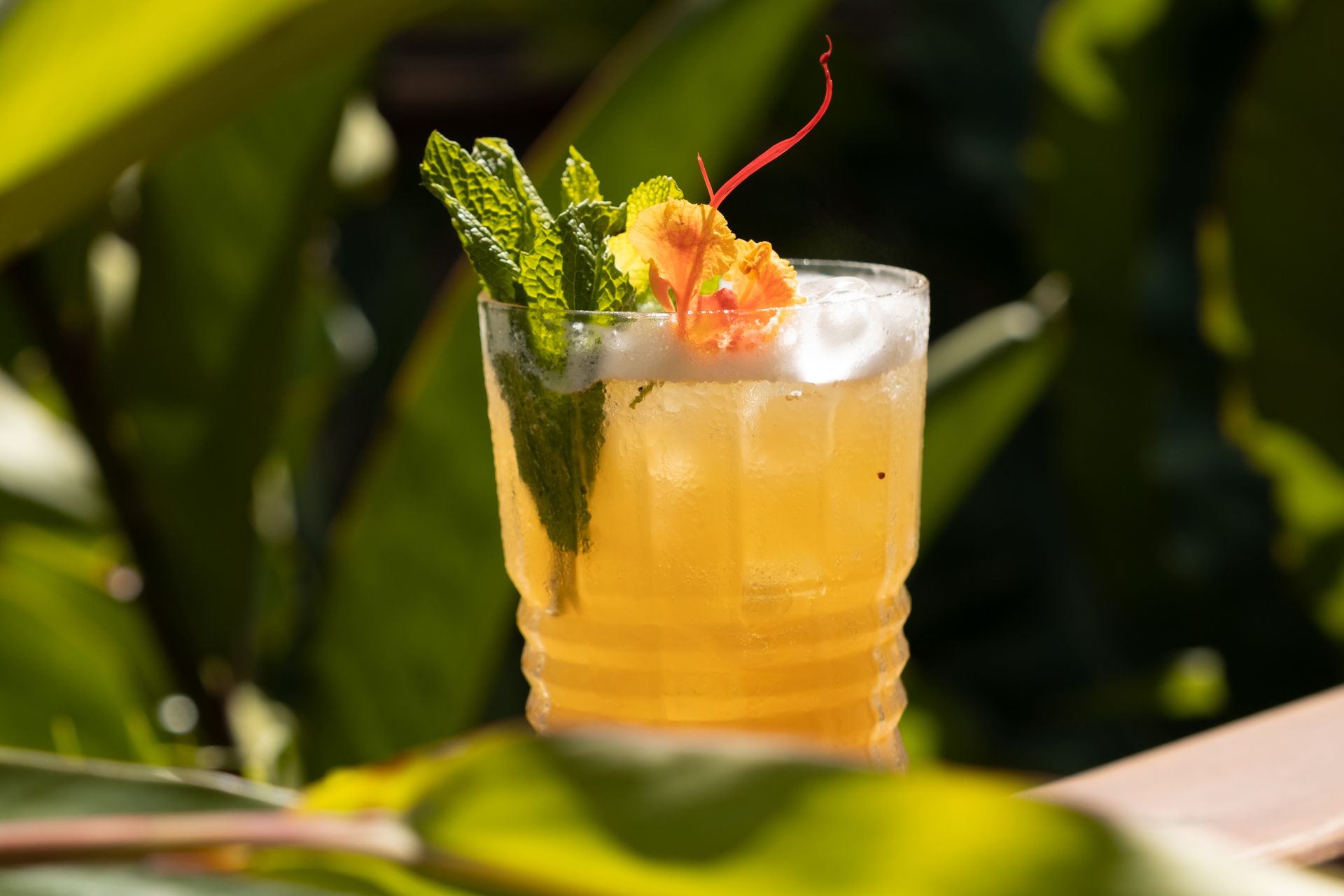 Tropical drink with mint and a flower, served among green leaves at Colombian Caribbean hotels in San Antero.
