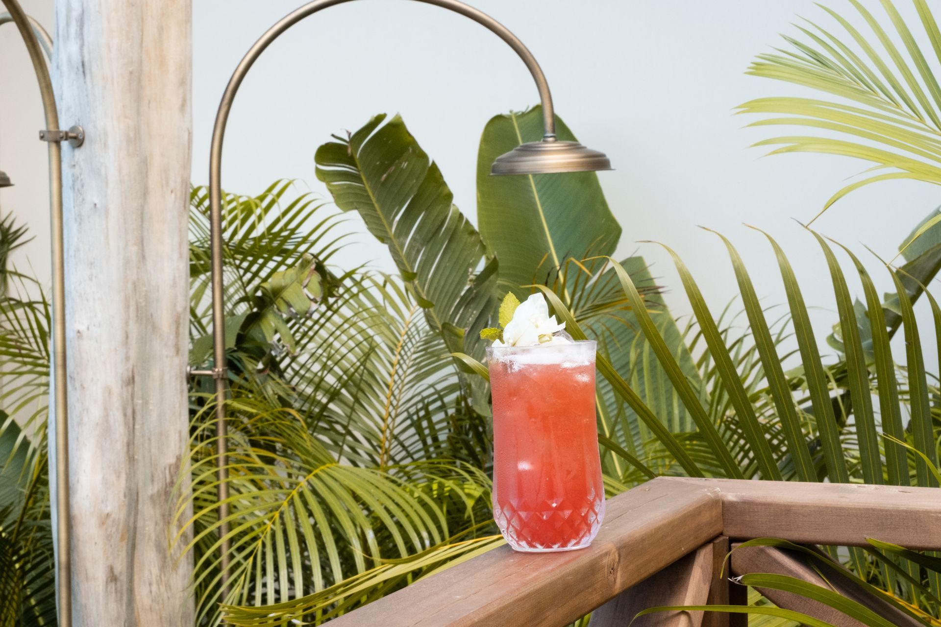 Red cocktail with a flower served on a wooden railing at Hotel Aimarawa, surrounded by tropical plants.