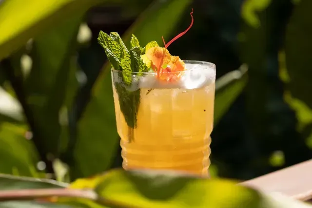 Bebida tropical con hierbabuena y flor, servida entre hojas verdes en hoteles en el caribe colombiano en San Antero.