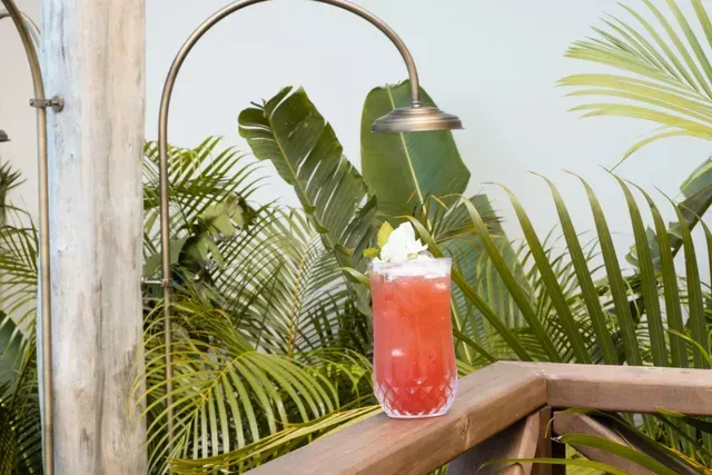 Cóctel rojo con flor servido en una baranda de madera de Hotel Aimarawa, rodeado de plantas tropicales.