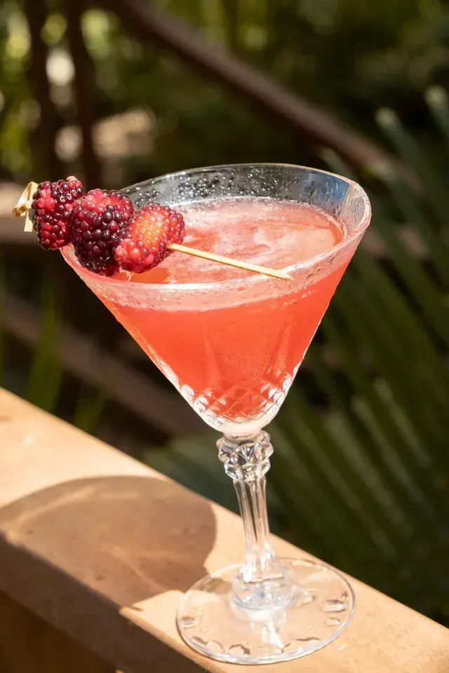 Cóctel rosado con moras frescas servido en el bar Ara Macao del Hotel Aimarawa en san antero
