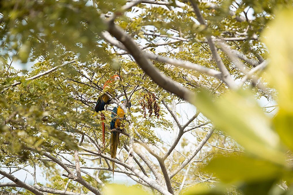 Entorno natural en san antero córdoba, paisaje que rodea el Hotel Aimarawa y permite experiencias de conexión