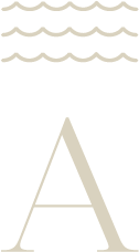 logo aimarawa