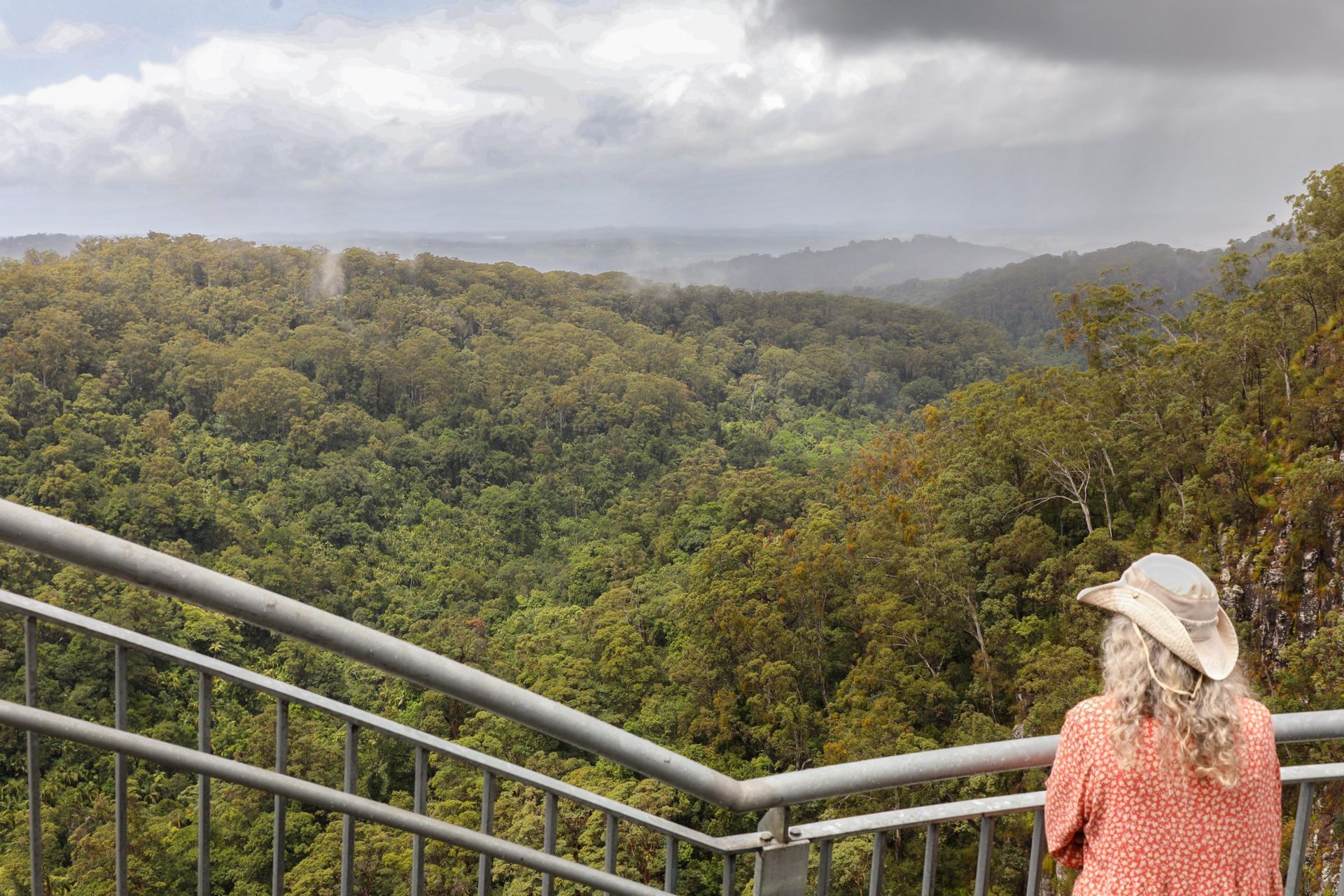 Woman Overlooking Lush Green Forest — North Coast Stock Feeds in Alstonville, NSW