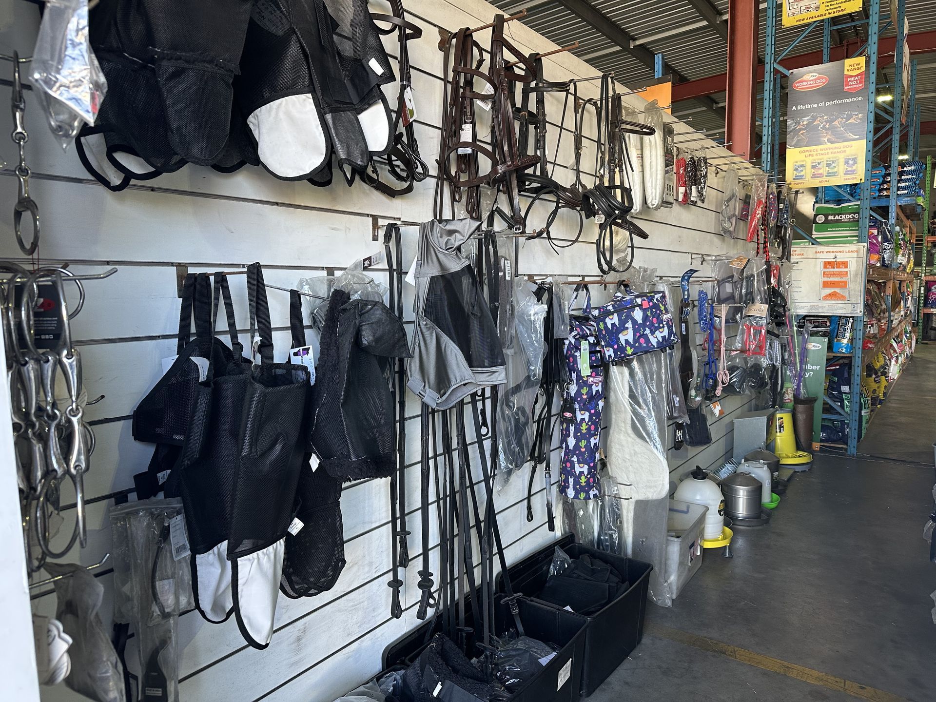 Equine supplies displayed on a store wall, including bridles, whips, and bags.https://webbuilder.localsearch.com.au/preview/d9199698